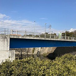 公園橋